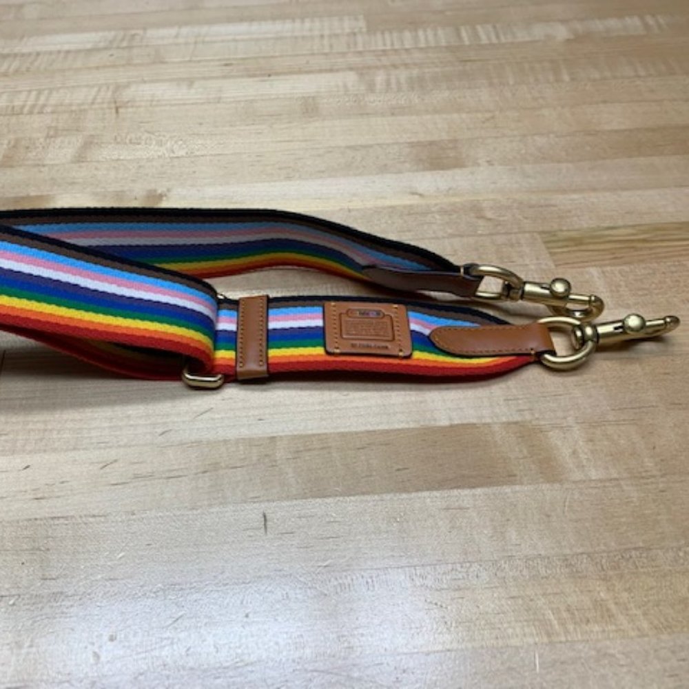 Coach Rainbow Web Strap